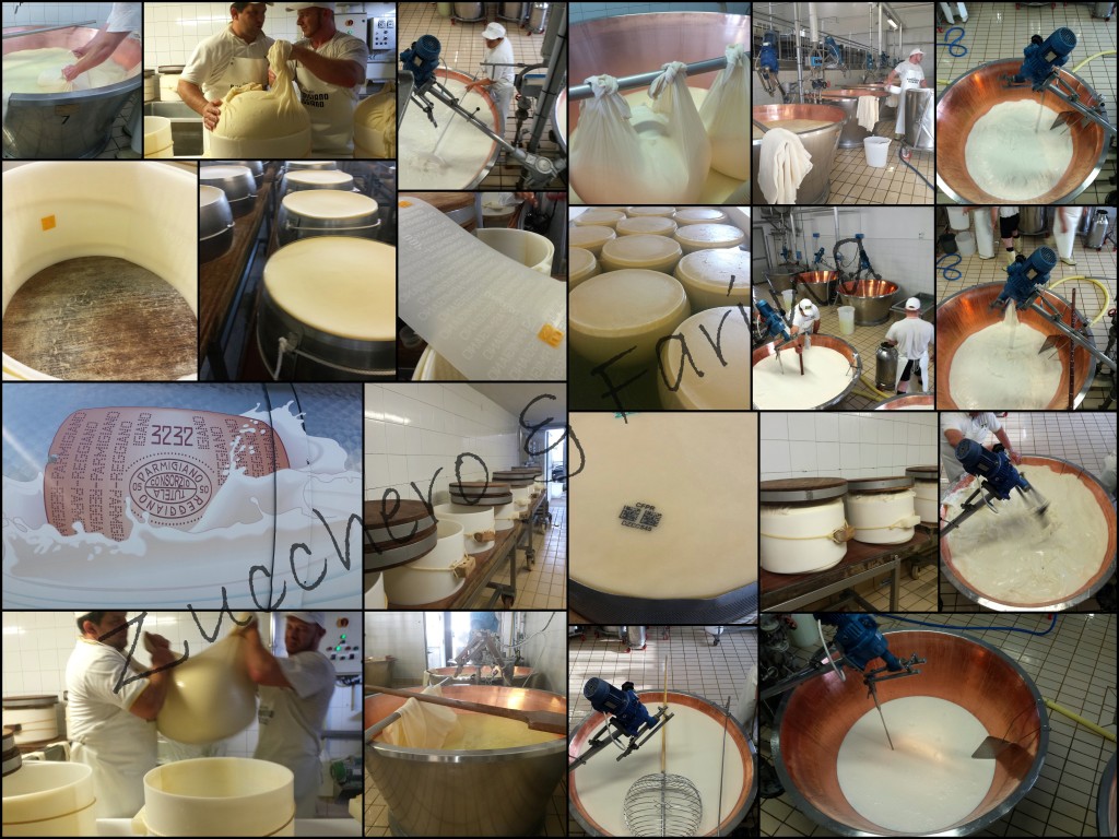 Lavorazione parmigiano