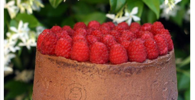 Torta cioccolato e lamponi